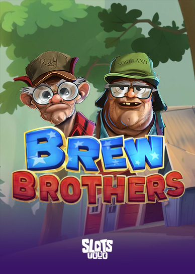 Reseña de Brew Brothers