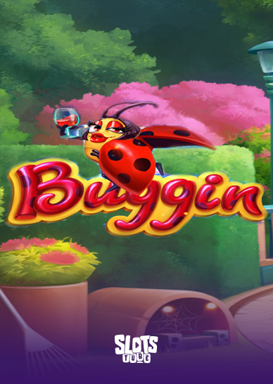 Revisión de Buggin