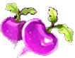 Rabbit Fields Radishes Symbol