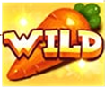 Rabbit Fields Carrot Wild Symbol