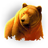 Wild Survivor Símbolo del oso