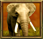 Jungle Spirit Megaways Símbolo del elefante