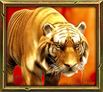 Jungle Spirit Megaways Símbolo del tigre